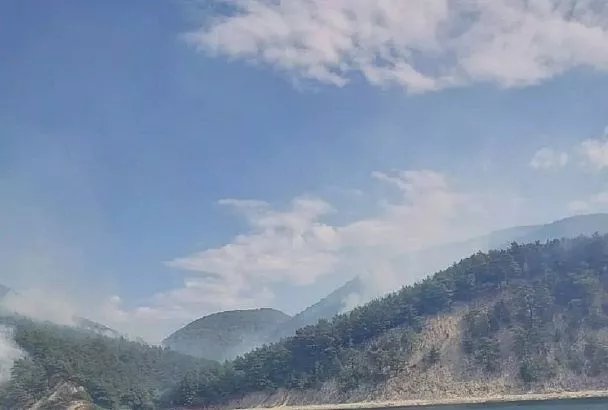 В лесу под Геленджиком потушили один из очагов пожара на площади 12 га