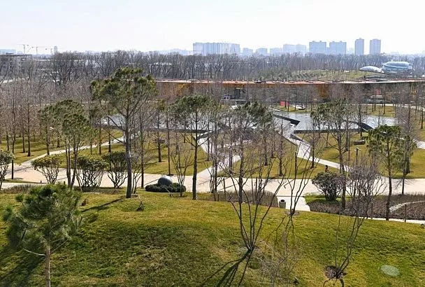 Еще несколько прогулочных аллей открыли в новой локации парка Галицкого в Краснодаре