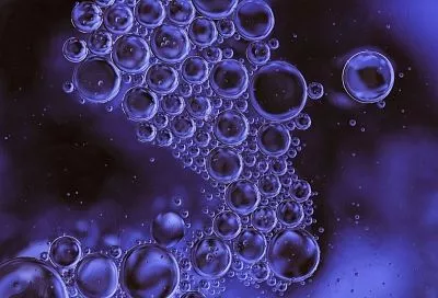 Учёные научились предсказывать продолжительность жизни по активности генов