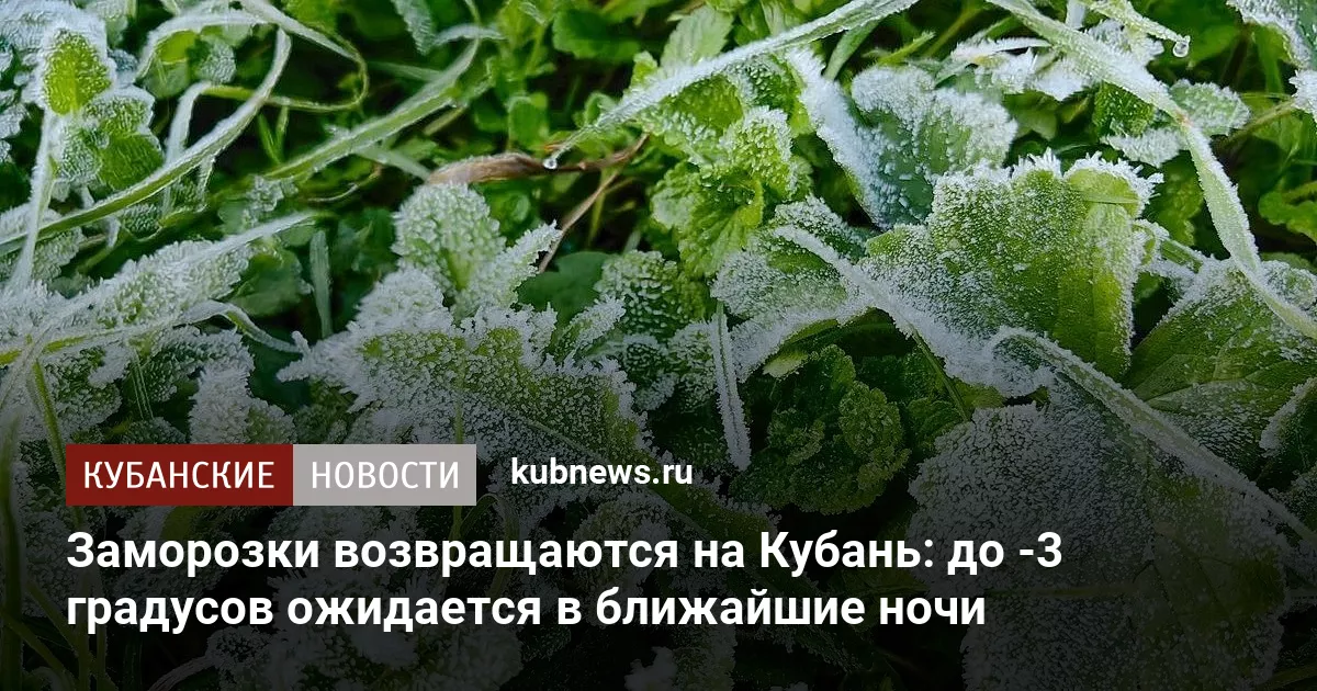 Заморозки возвращаются на Кубань: до -3 градусов ожидается в ближайшие ночи