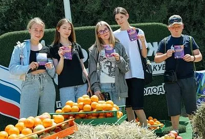 Три тысячи кубанских студентов в этом учебном году будут получать специальную молодежную стипендию