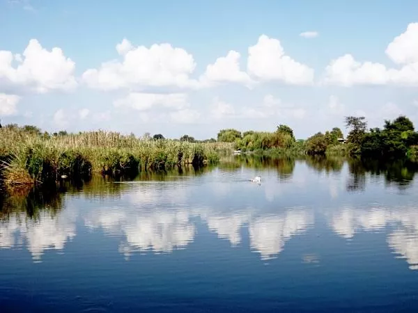 В станице Платнировской