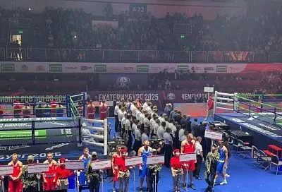 4 медали завоевала сборная Краснодарского края на чемпионате России по боксу