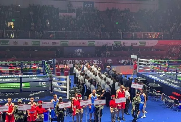 4 медали завоевала сборная Краснодарского края на чемпионате России по боксу