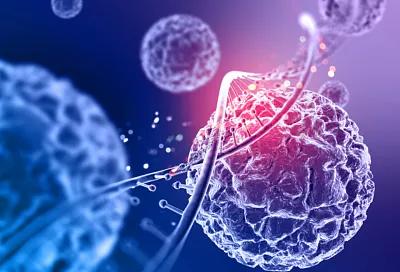 Эксперт: клеточная инженерия поможет раздвинуть границы жизни до 100 лет