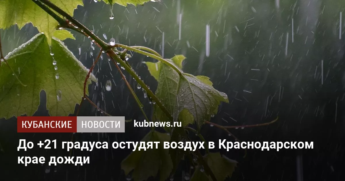 До +21 градуса остудят воздух в Краснодарском крае дожди
