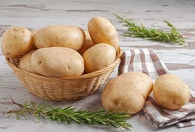 Российские учёные нашли способ повысить урожайность картофеля на 15% с помощью дронов