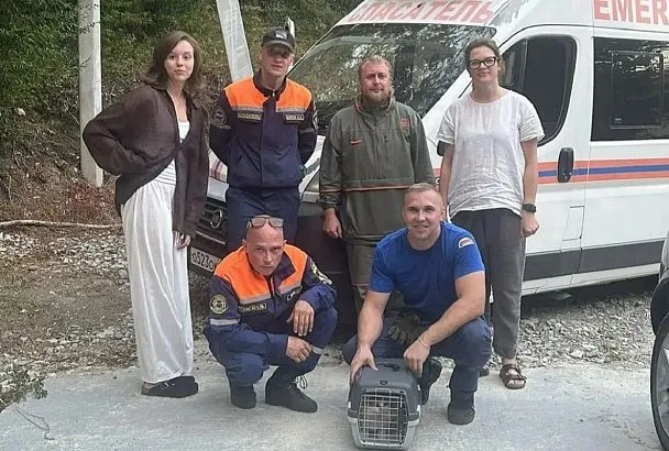 В Новороссийске спасатели сняли кота, просидевшего двое суток на дереве