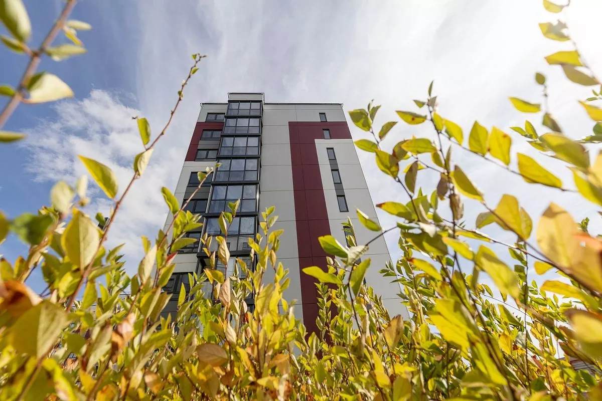 «Расцветай в Янино» расположен близко к городу в окружении природных массивов. «Расцветай в Янино» расположен близко к городу в окружении природных массивов.