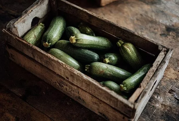 Как вырастить больше кабачков на маленьком участке: два приёма, которые реально работают