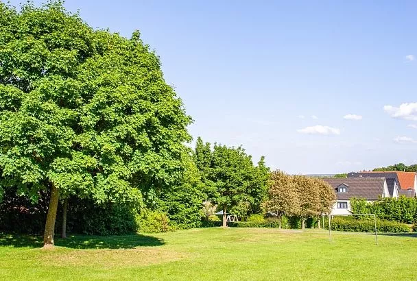 Деревья могут стать причиной разрушения дома