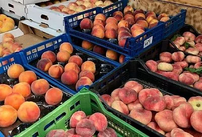 Где будут работать ярмарки выходного дня в Краснодаре 23 августа