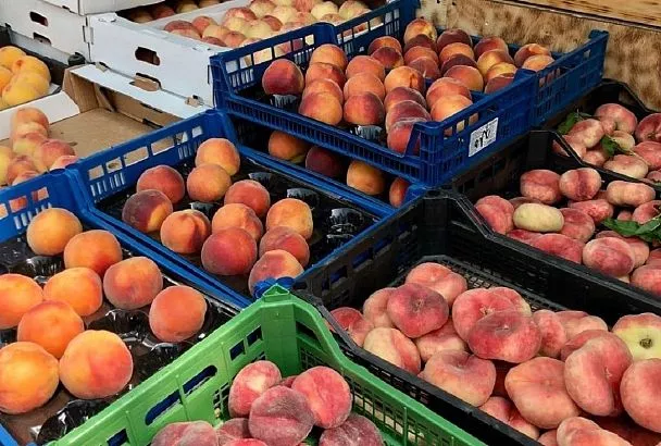 Где будут работать ярмарки выходного дня в Краснодаре 23 августа