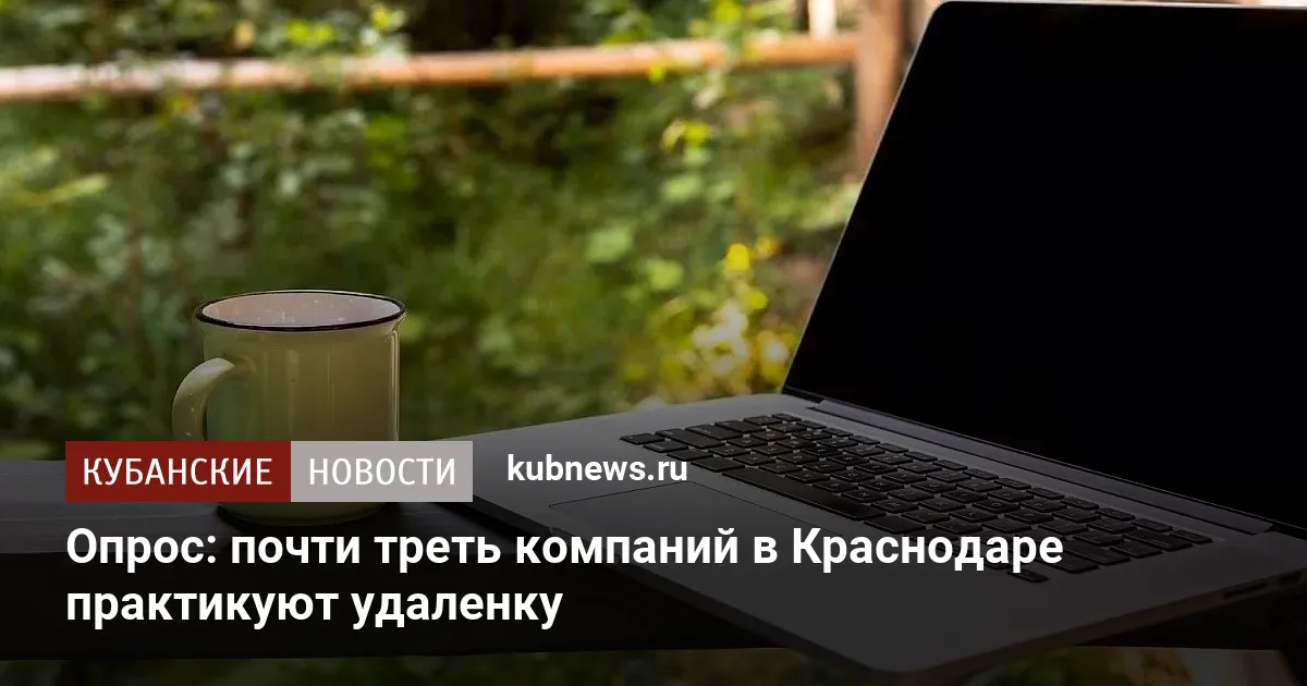 Опрос: почти треть компаний в Краснодаре практикуют удаленку