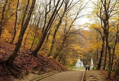 То что доктор прописал: главные направления оздоровительного туризма в Краснодарском крае 