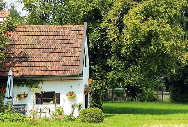 Брызгать им на даче и везде: 5 неожиданных причин всегда иметь под рукой нашатырный спирт