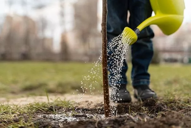 Азы осенней подкормки растений: когда и как надо применять удобрения