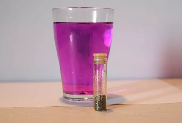 Марганцовка поможет: этот метод обеззаразит семена и придаст всходам сил