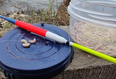 Подсекаю окуня по Сабанееву — и «горбач» всегда на крючке: как не упустить улов 