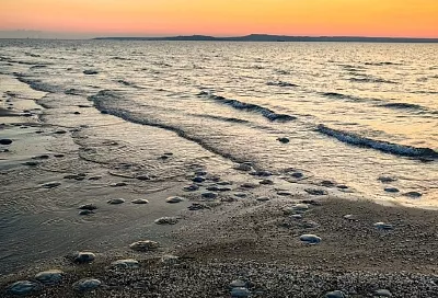 Названа причина землетрясения в Азовском море