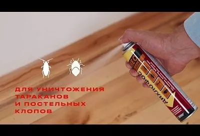 Насекомые не пройдут: выбираем надежное средство