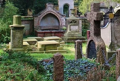 Какие цветы посадить на кладбище: 5 многолетников, которые цветут без частого ухода