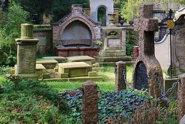 Какие цветы посадить на кладбище: 5 многолетников, которые цветут без частого ухода