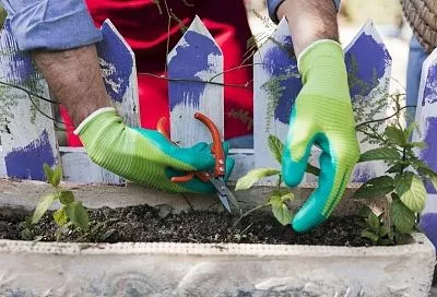 Лунный календарь с 26 июля по 1 августа: какая работа на огороде будет легкой и эффективной, а какая просто бессмысленной