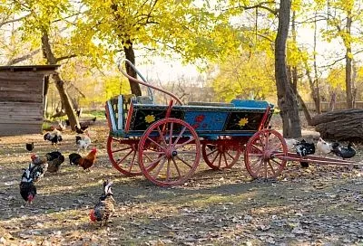 ЛДПР предлагает выдавать землю супругам с детьми после 10 лет брака