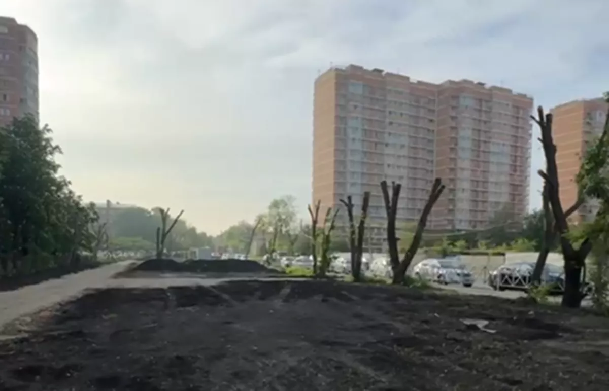 Новая зона отдыха появится в Краснодаре 