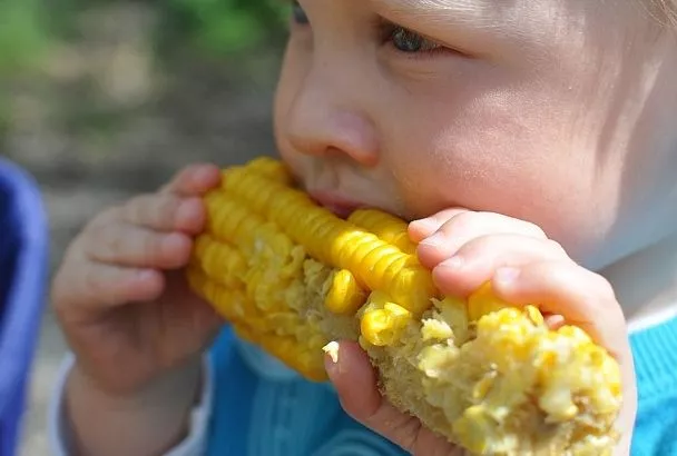 Молодая кукуруза готова за 5 минут! Секрет кубанского фермера: не варите дольше — станет «резиновая»