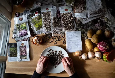 Оживляю старые семена перекисью: простой способ вернуть всхожесть