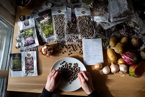 Оживляю старые семена перекисью: простой способ вернуть всхожесть