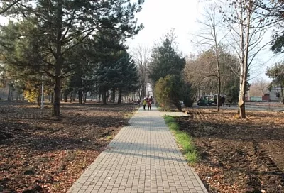 В Тимашевском районе в рамках нацпроекта полностью обновят станичный парк