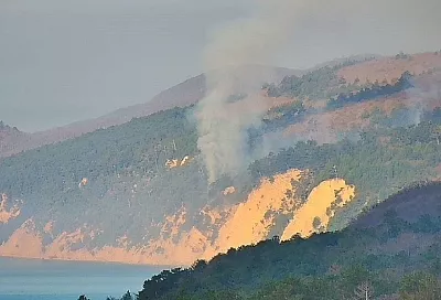 Лесной пожар под Геленджиком локализован