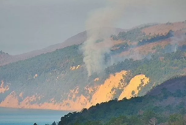 Лесной пожар под Геленджиком локализован