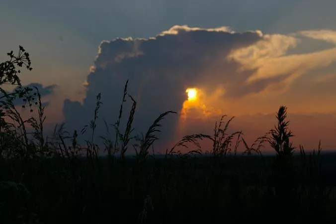 Без названия