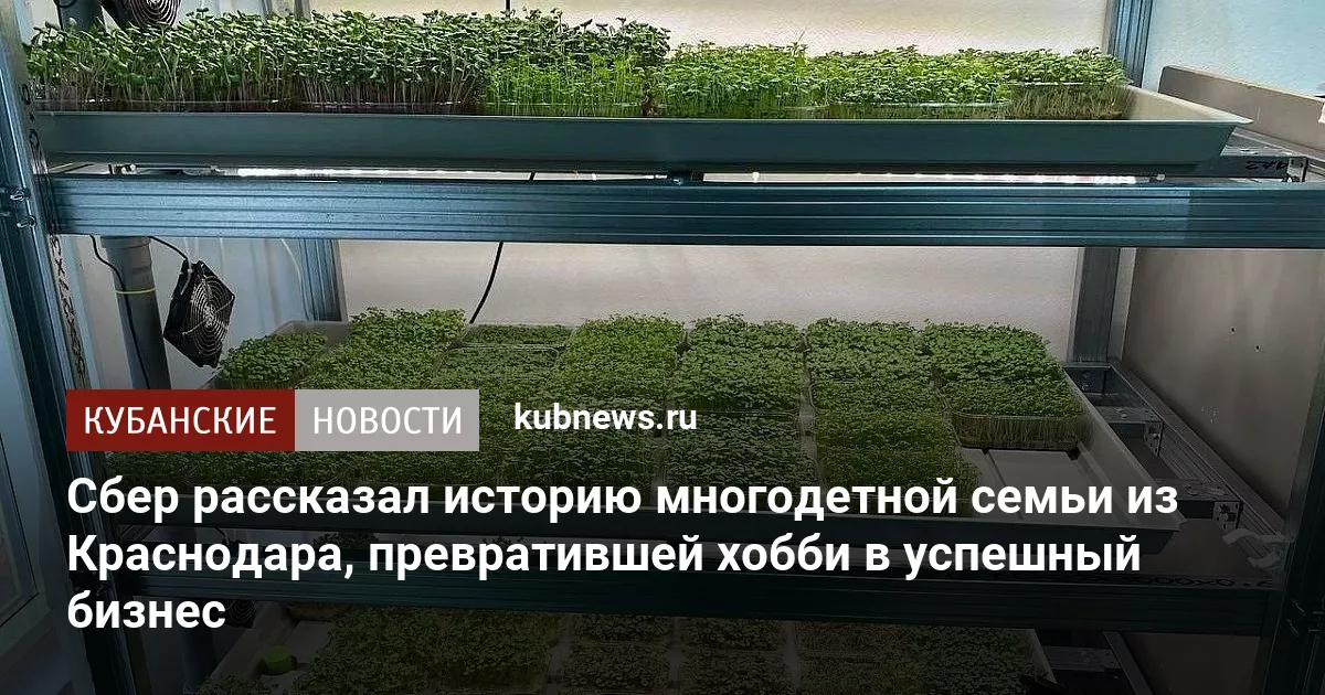 Сбер рассказал историю многодетной семьи из Краснодара, превратившей хобби в успешный бизнес
