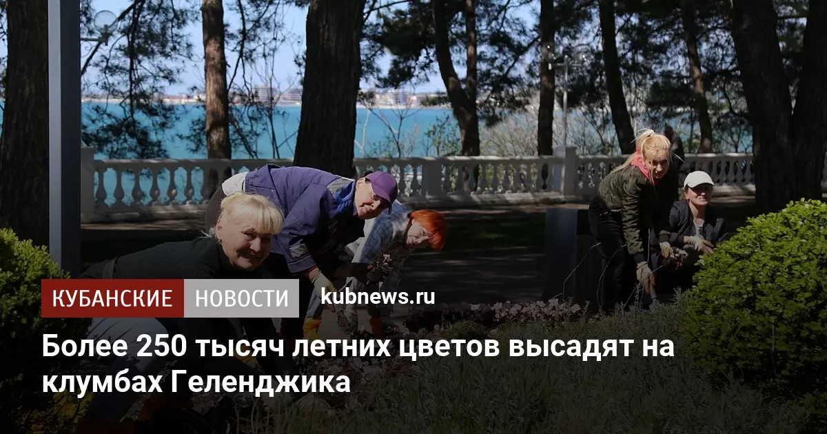 Более 250 тысяч летних цветов высадят на клумбах Геленджика