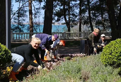 Более 250 тысяч летних цветов высадят на клумбах Геленджика