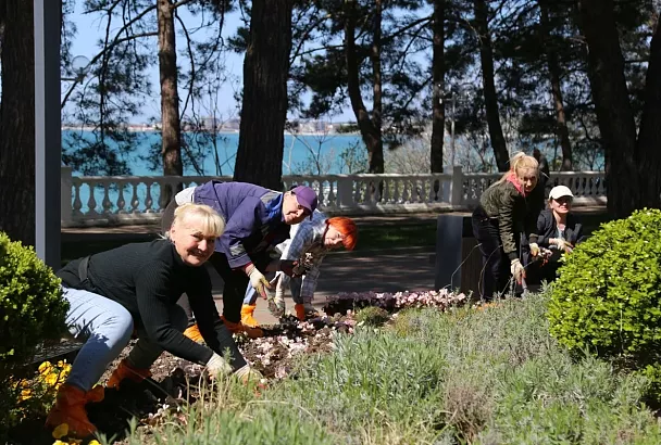 Более 250 тысяч летних цветов высадят на клумбах Геленджика