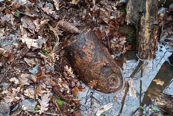 Эхо войны: жители Горячего Ключа нашли в лесу авиабомбу времен Великой Отечественной