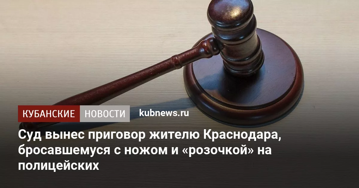 Суд вынес приговор жителю Краснодара, бросавшемуся с ножом и «розочкой» на полицейских