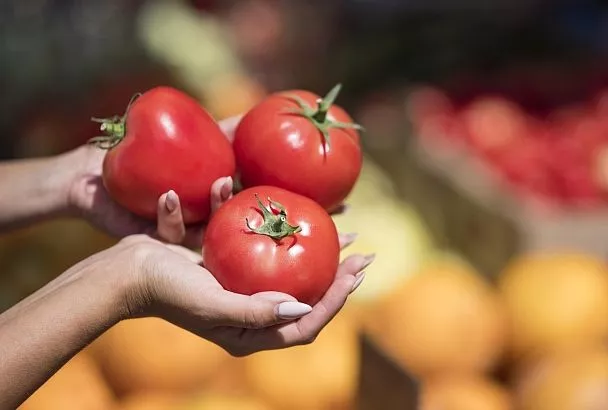 Жажда замучила: как часто следует поливать томаты