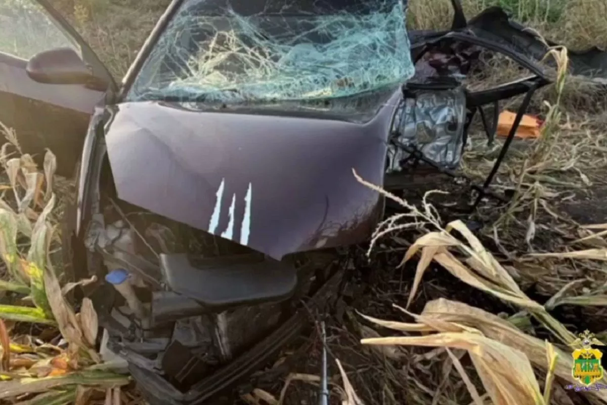Две легковушки столкнулись на трассе в Краснодарском крае. Оба водителя погибли