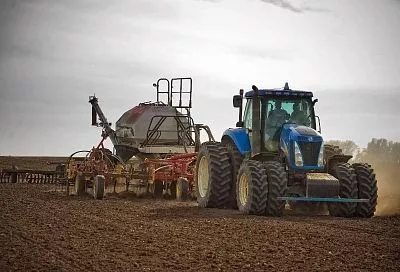 На Кубани стартовал сев озимых зерновых
