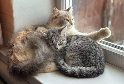 Без отопления и горячей воды остались семь зданий в центре Краснодара