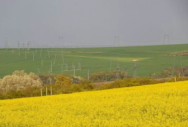 Сельская идиллия: ﻿под Новороссийском открыли новые агротуристические комплексы