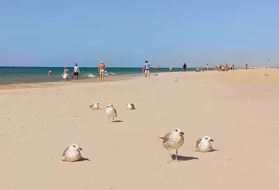 Жители Кубани могут поучаствовать в создании клипа к песне об Анапе