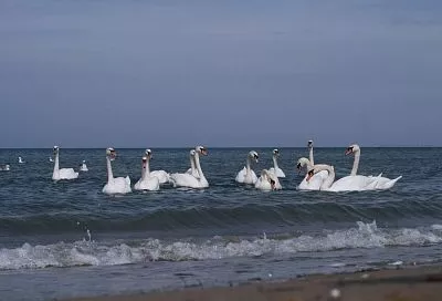 Города Краснодарского края вошли в топ-10 популярных направлений для спонтанных поездок в январе